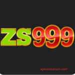 ZS999