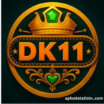 DK11 Game