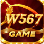 W567 Game